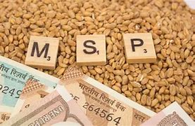 Cabinet Approves Minimum Support Prices for Rabi Crops for Marketing Season 2025-26