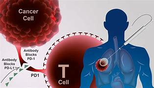 New cancer therapy target could help patients overcome resistant to current treatments