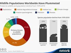 Wildlife populations decreased by 73% in the last 50 years