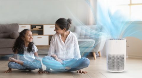 Indoor Air Quality and Air Purification