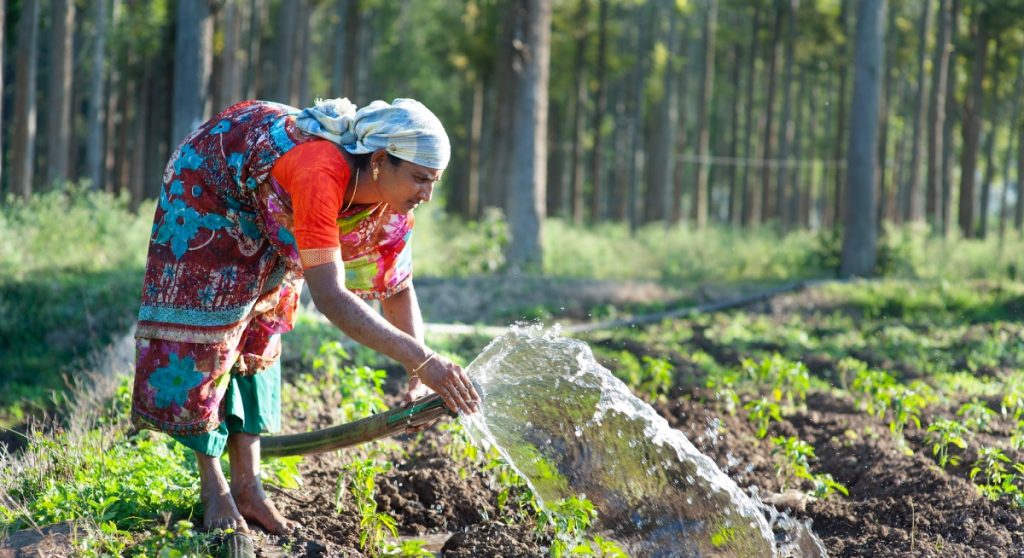National Mission on Natural Farming (NMNF)