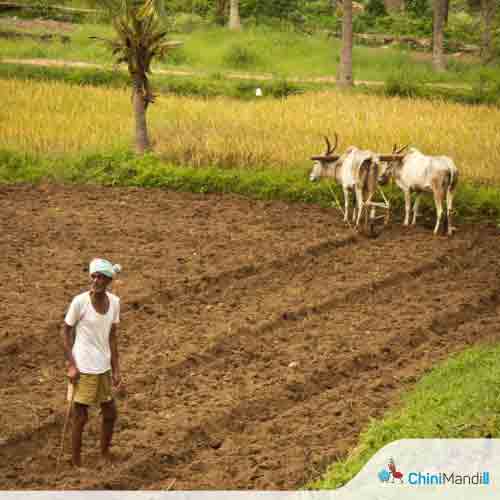 National Mission on Natural Farming (NMNF)