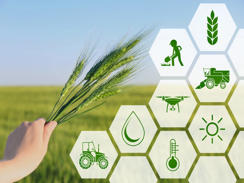 Government Major Policy Initiatives to Boost the Agriculture Sector ...