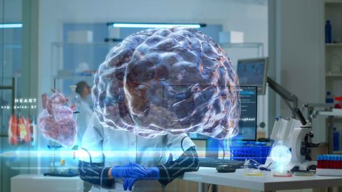 IIT Madras Unveils 3D Brain Atlas ‘DHARINI’