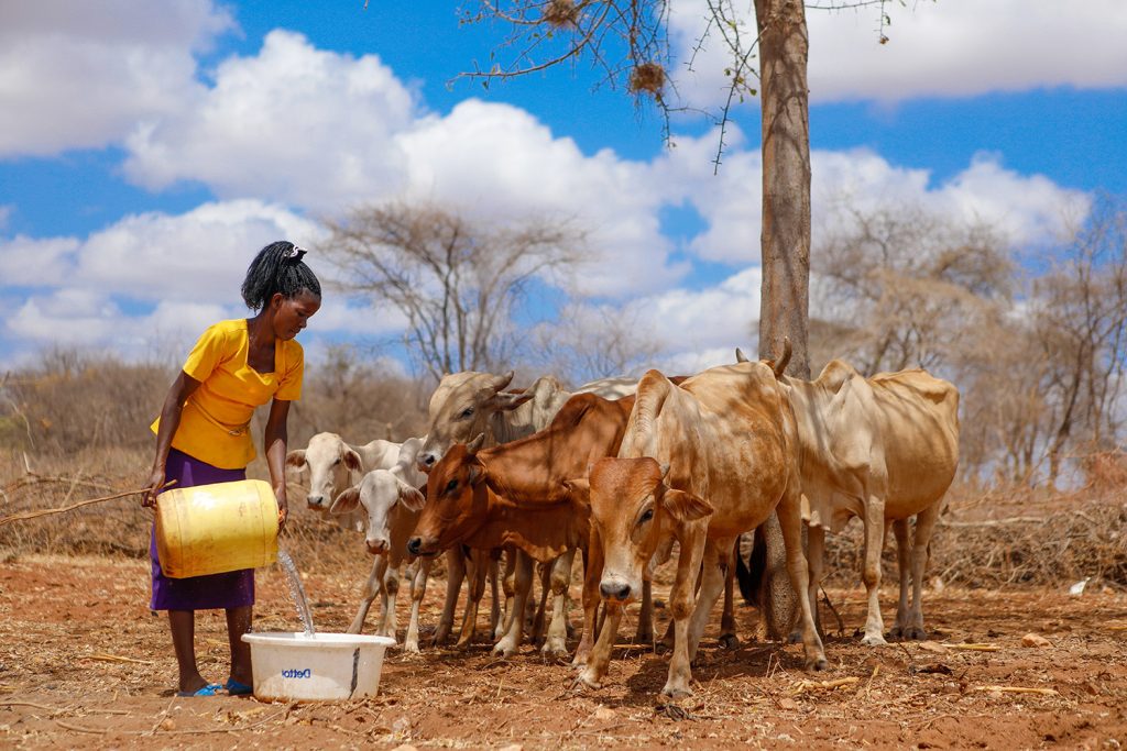 Global Strategy for Resilient Drylands (GSRD)