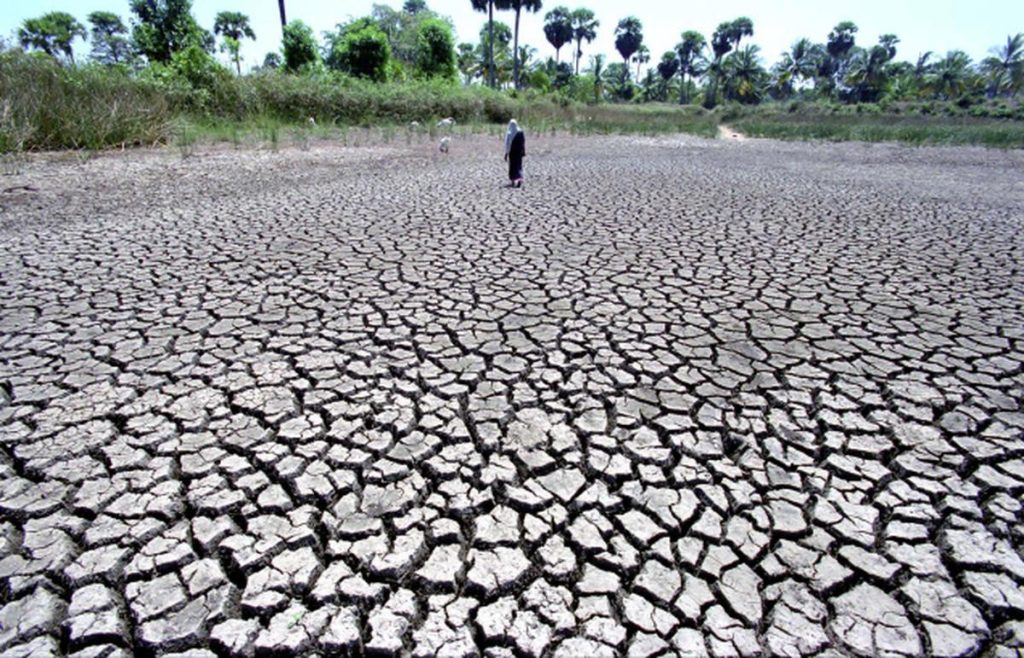 UNCCD Report Highlights Global Drying Trends