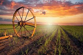 Global Strategy to Revolutionise Dryland Farming