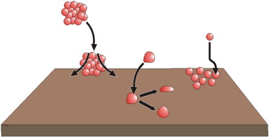 Researchers Develop Lysozyme Bilayers to Mimic Protein Adsorption on Implants