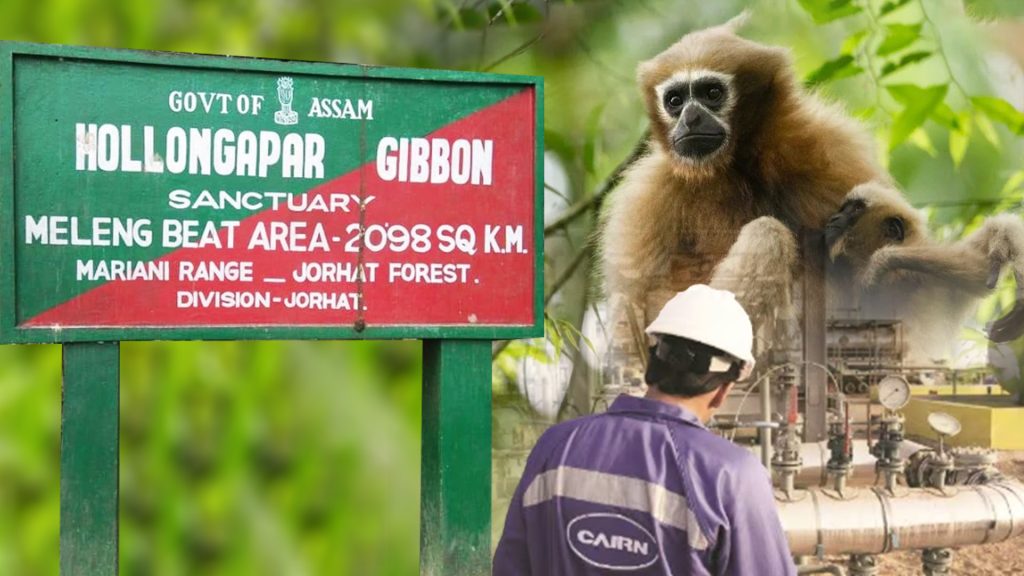 Oil & gas exploratory drilling in Hollongapar Gibbon Sanctuary
