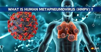 Human Metapneumovirus (HMPV)