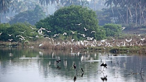 Accredited Wetland Cities