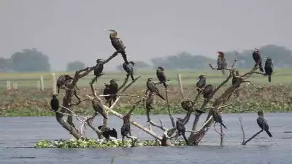 India Adds 4 New Ramsar Sites