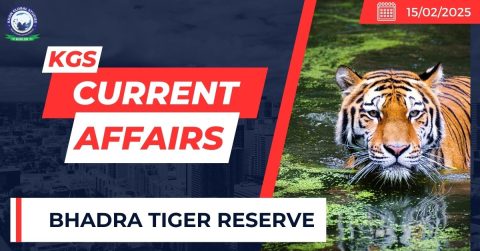 Bhadra Tiger Reserve