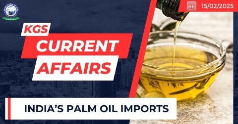 India’s Palm Oil Imports