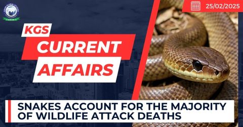 Snakes Account for the Majority of Wildlife Attack Deaths