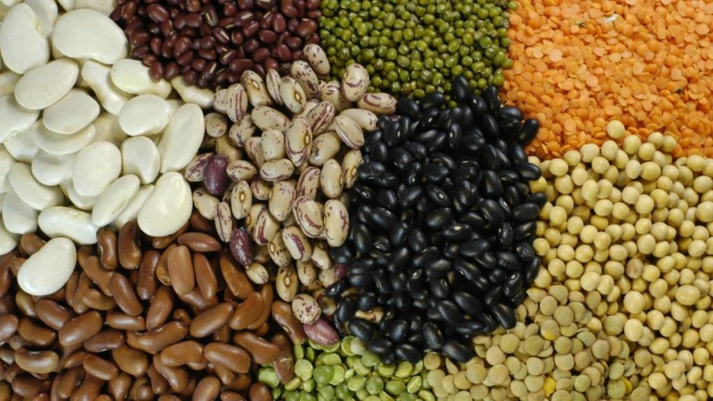 Mission for Aatmanirbharta in Pulses