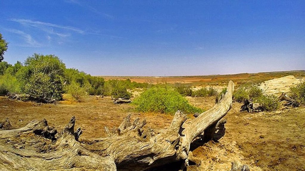 First Biodiversity Heritage Site of Gujarat