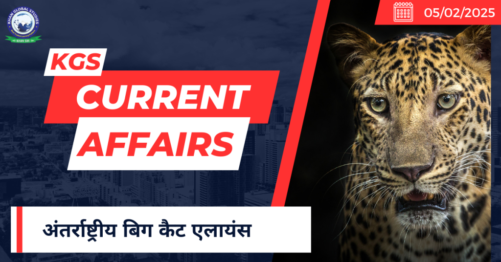 अंतर्राष्ट्रीय बिग कैट एलायंस