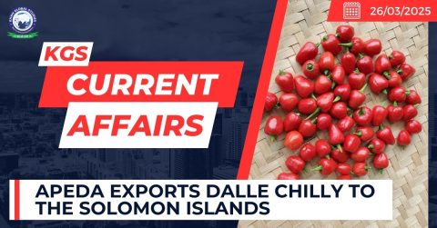 APEDA exports Dalle Chilly to the Solomon Islands