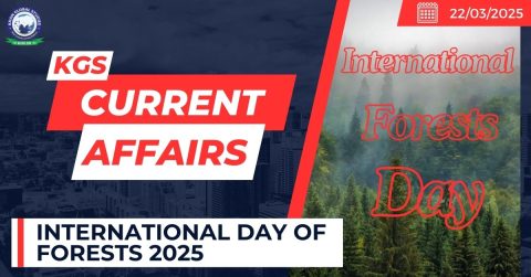 International Day of Forests 2025
