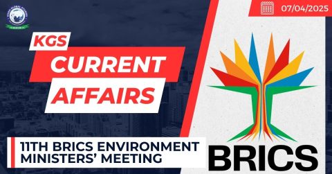 11th BRICS Environment Ministers’ Meeting