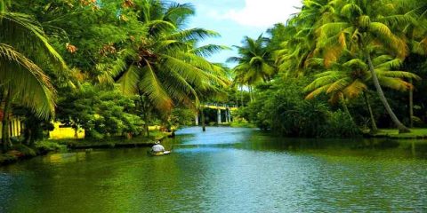 UP Launched Initiative to Transform Eco-Tourism Destinations