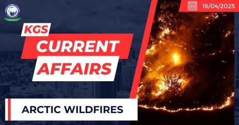 Arctic Wildfires