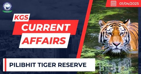 Pilibhit Tiger reserve