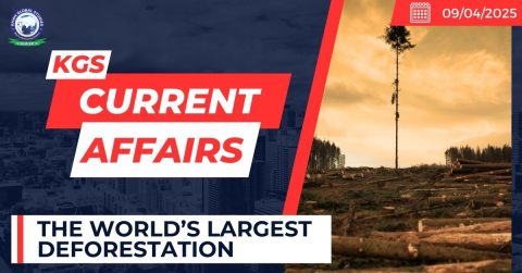 The world’s largest deforestation
