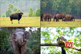 सिमिलिपाल : भारत का 107वाँ राष्ट्रीय उद्यान