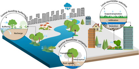 Advanced Urban Flood Response System