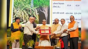 विश्व की पहली जीनोम-संपादित चावल की किस्म