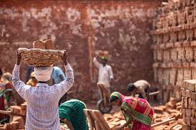 आवधिक श्रम बल सर्वेक्षण (PLFS) – मासिक बुलेटिन [अप्रैल 2025]