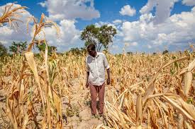 The Global Report on Food Crises (GRFC) 2025