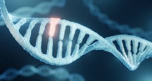 DNA Mutation
