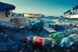 EU-India on Marine Plastic Litter and Waste to Hydrogen