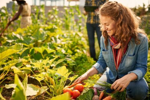 International Year of the Woman Farmer