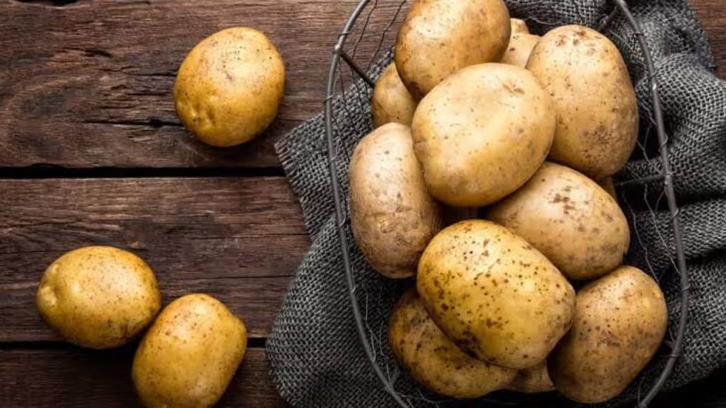 International Potato Centre at Agra
