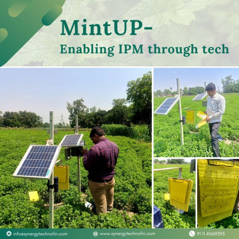 MintUP Project