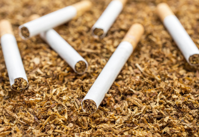 Global Tobacco Epidemic