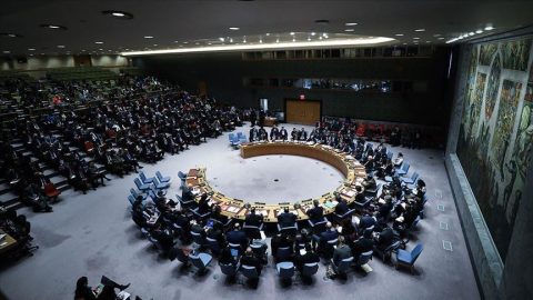 New Non-Permanent Members of the UNSC
