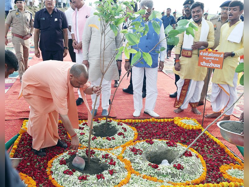 Uttar Pradesh Achieves 86.67% Sapling Survival Rate