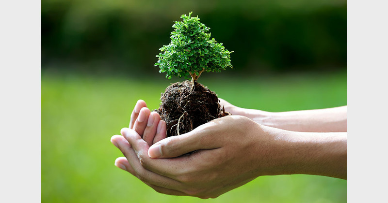 Environment Protection (Management of Contaminated Sites) Rules, 2025