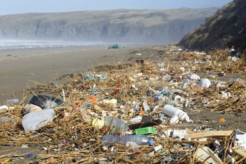 Endocrine Disruptors in Plastic Waste