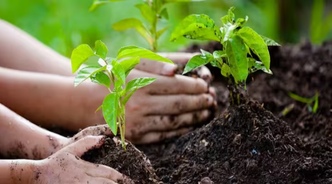 ‘Khush-haal Van Maha Abhiyan 2025