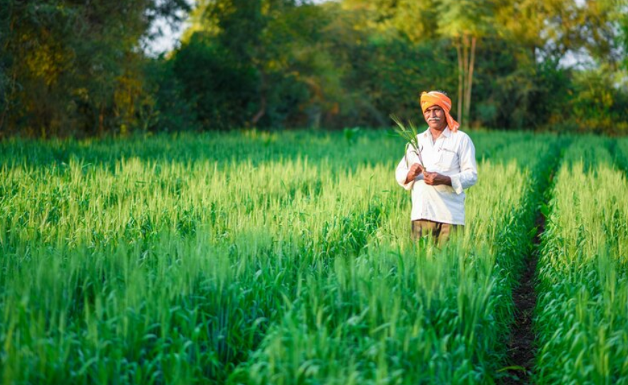 Prime Minister Dhan-Dhaanya Krishi Yojana