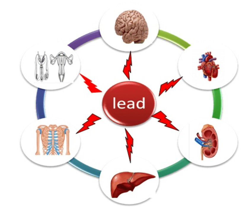 Lead Toxicity Assessment In UP