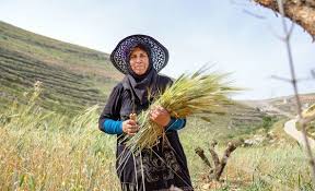 कृषि-खाद्य प्रणाली पर FAO की रिपोर्ट