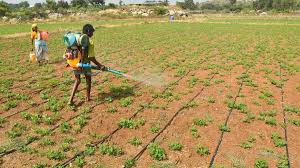 Smart Irrigation Plan