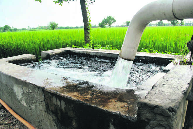 High Levels of Selenium in Groundwater